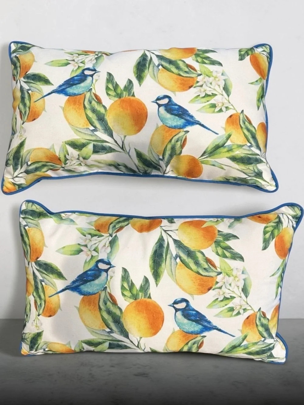 Set of 2 Decorative Throw Pillows with Blue Birds and Orange Fruit Design